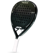 RYZE PEGASUS (Hybrid)